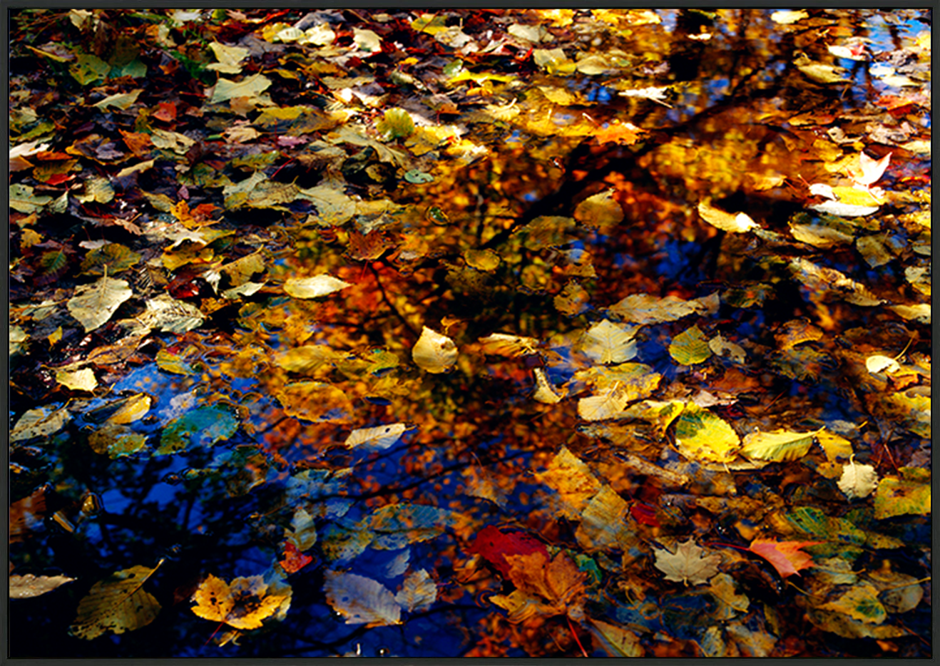 canvas_frame