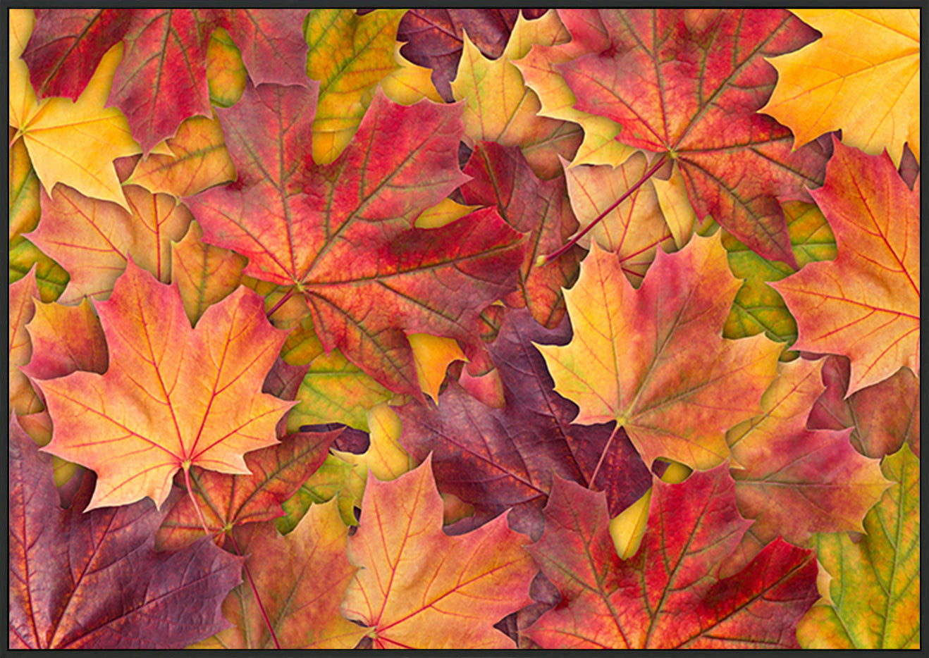 canvas_frame