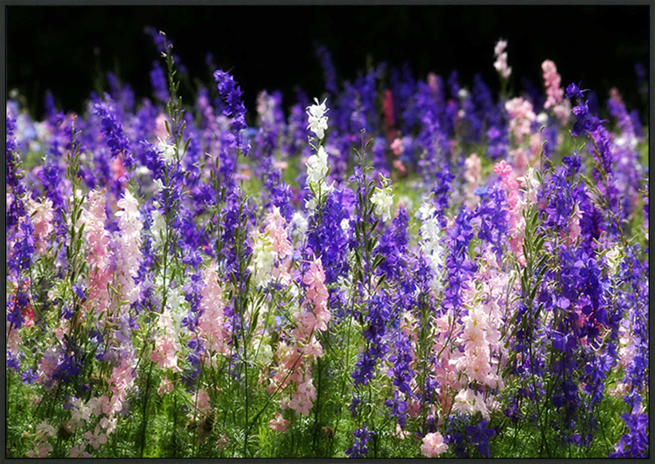 canvas_frame