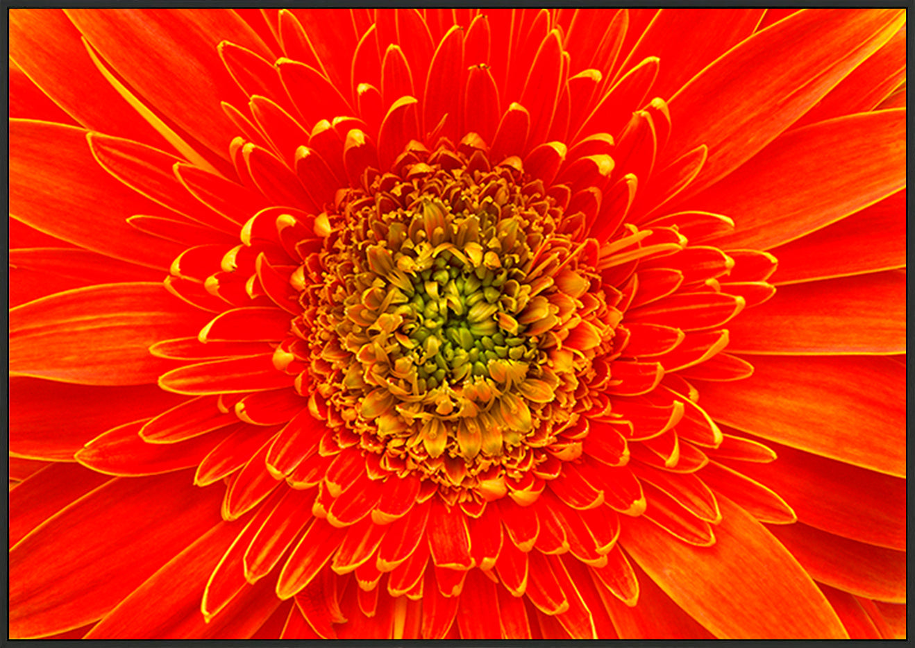 canvas_frame