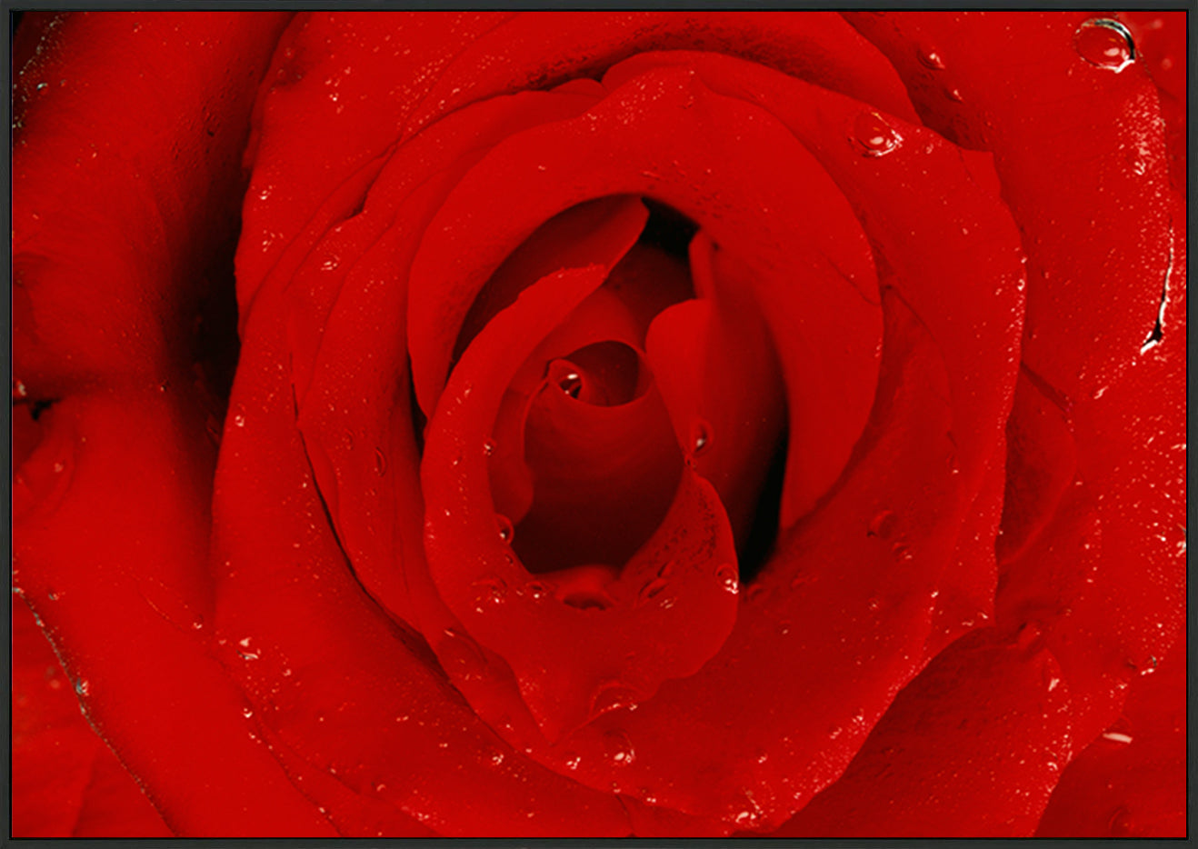 canvas_frame