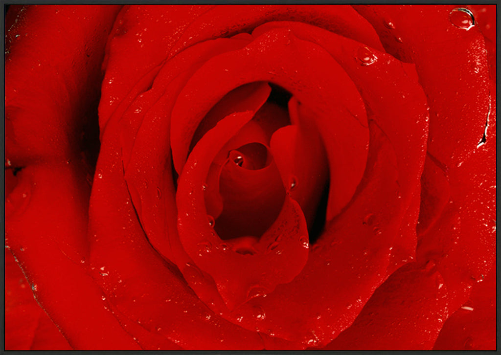 canvas_frame