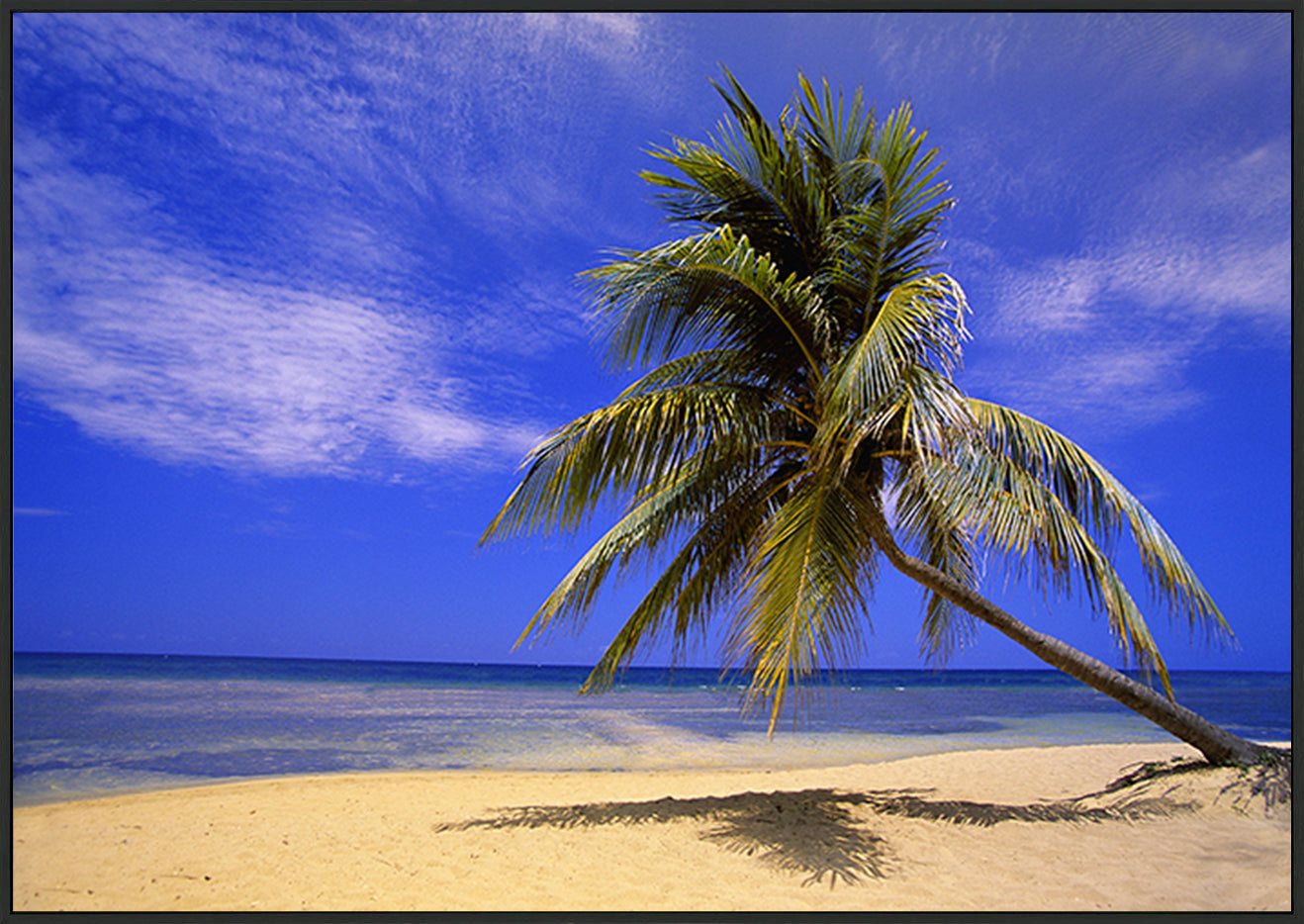 canvas_frame