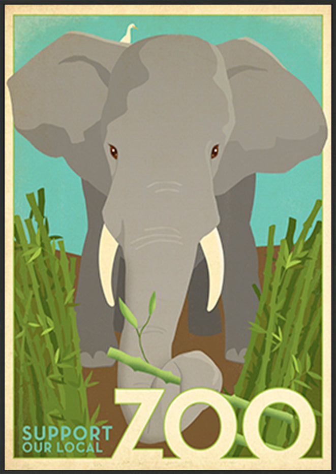AL JOEAND116846 Zoo vintage elephant - ArtFramed