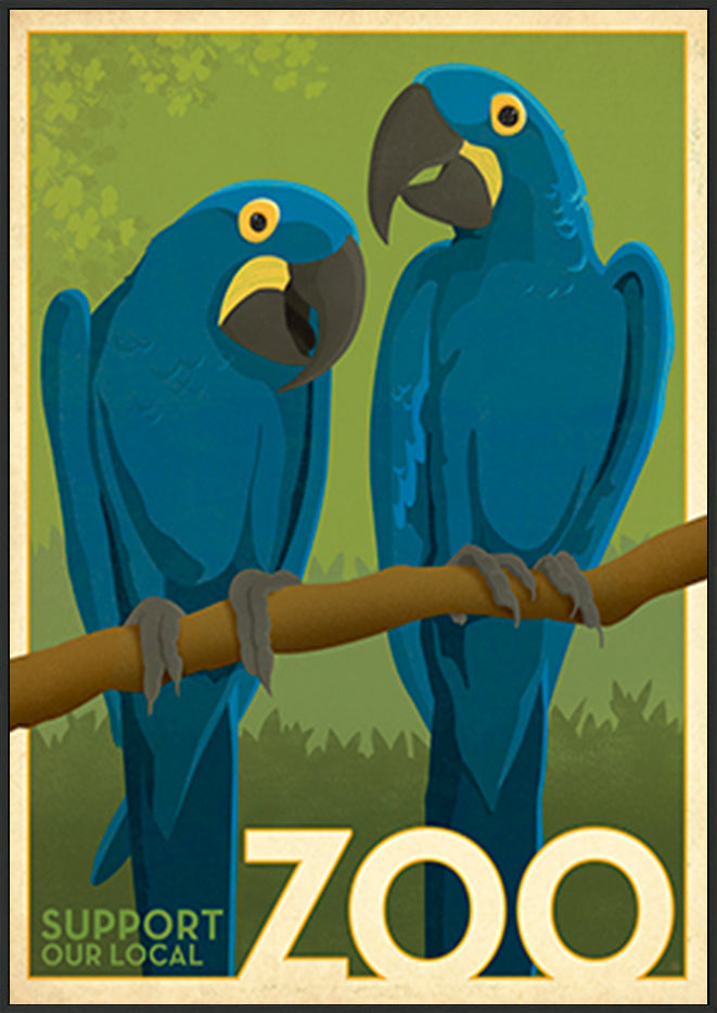 AL JOEAND116848 Zoo vintage cockatoo birds - ArtFramed