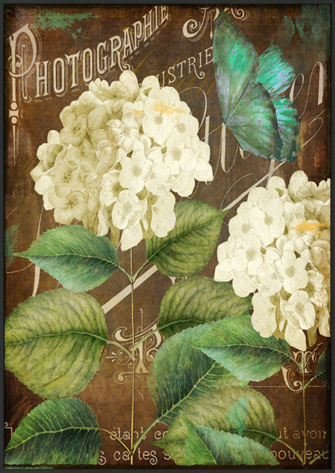 canvas_frame