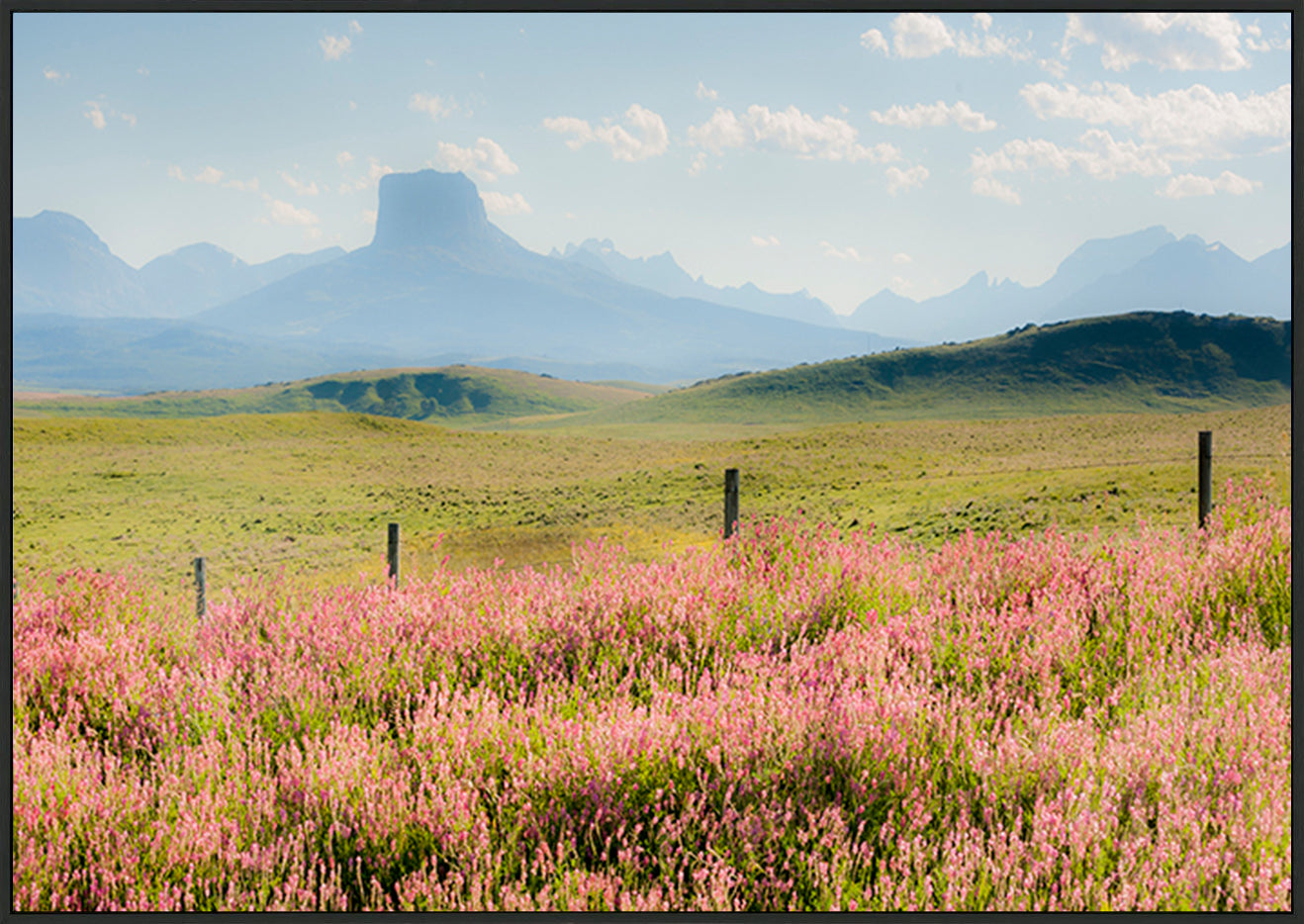 canvas_frame