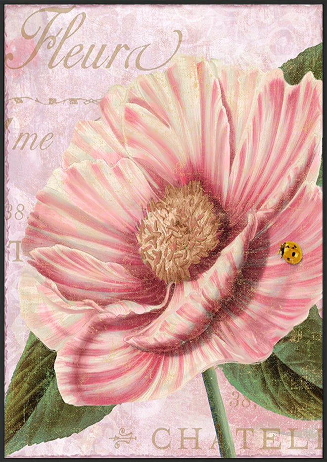 canvas_frame