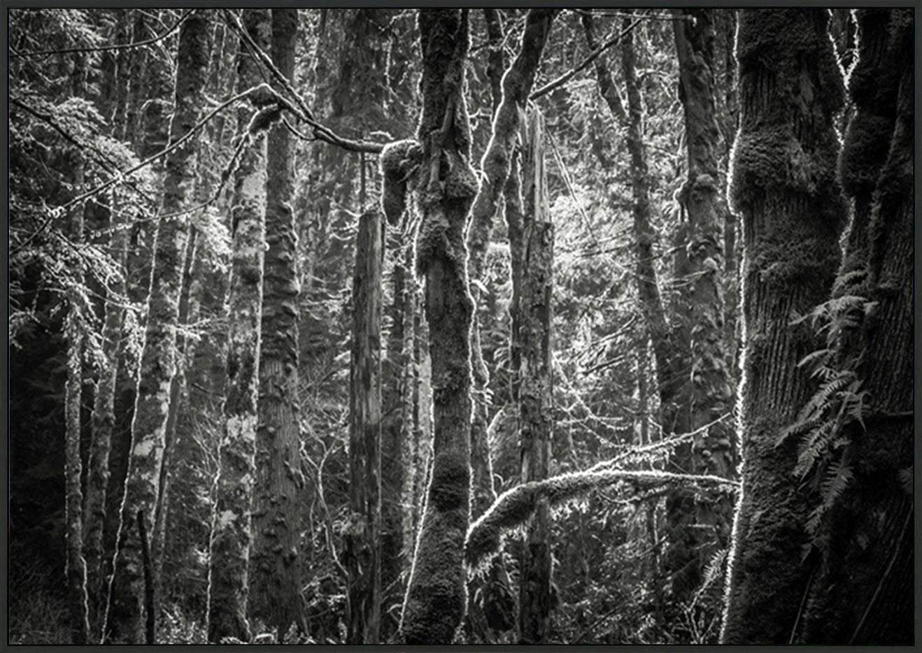 canvas_frame