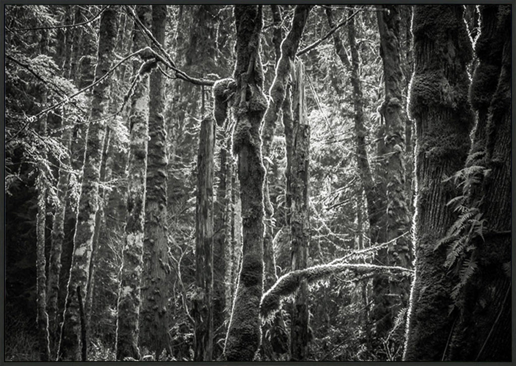 canvas_frame