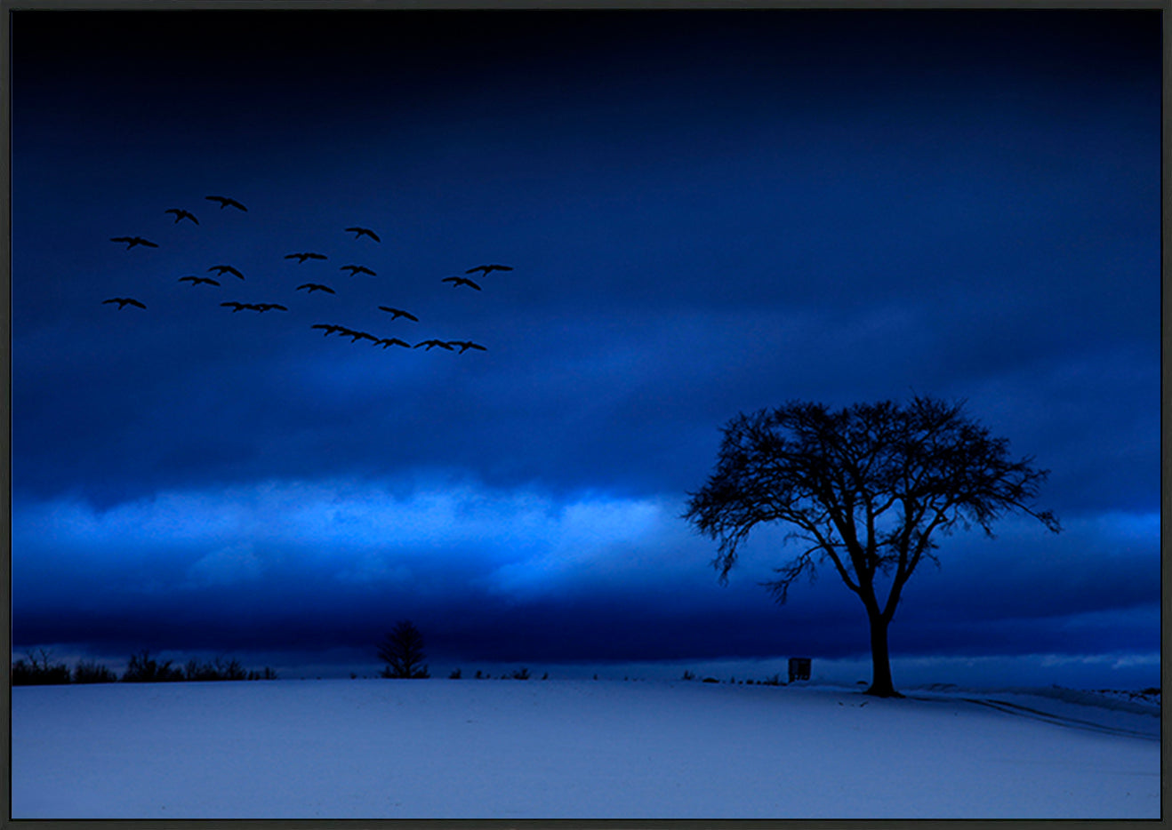 canvas_frame