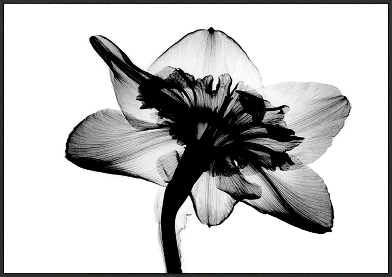 canvas_frame