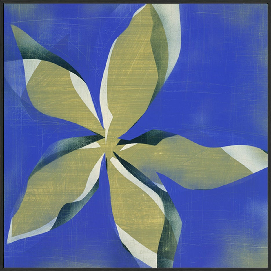 canvas_frame