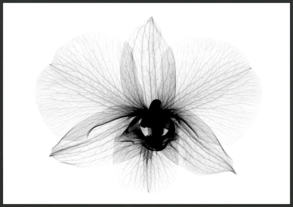 canvas_frame