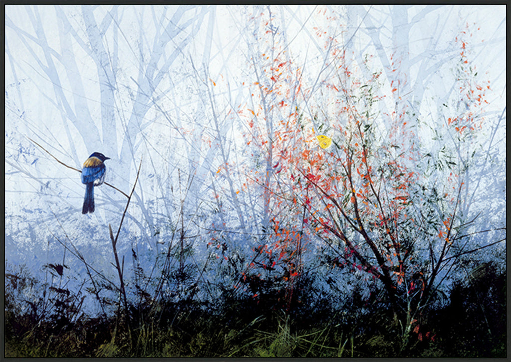 canvas_frame