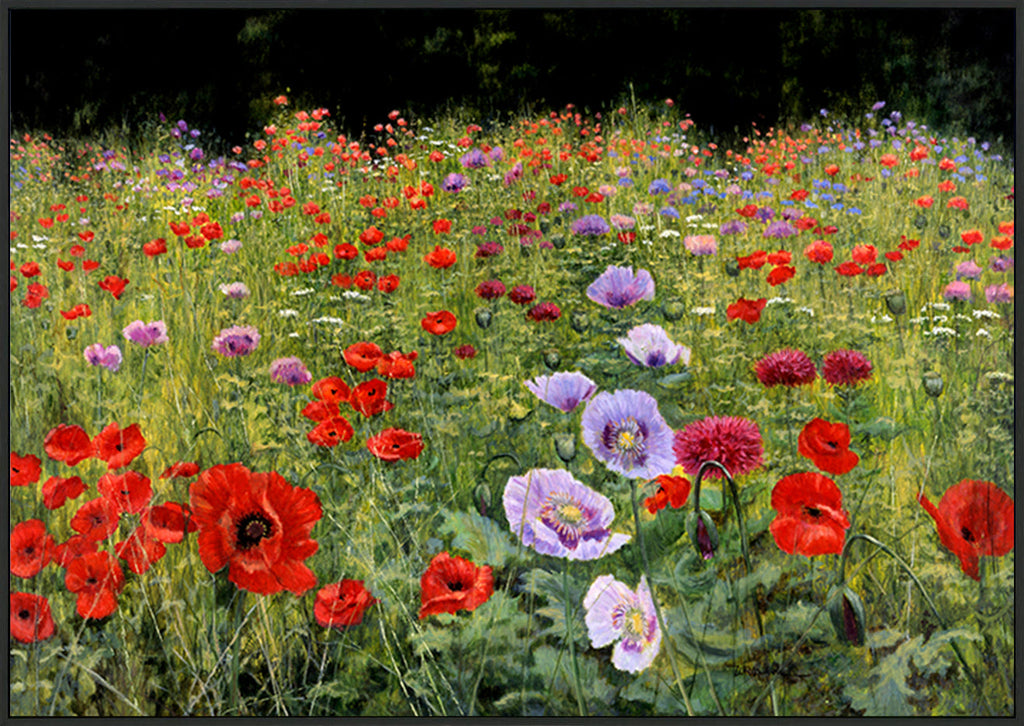 canvas_frame