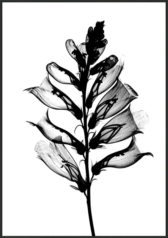 canvas_frame