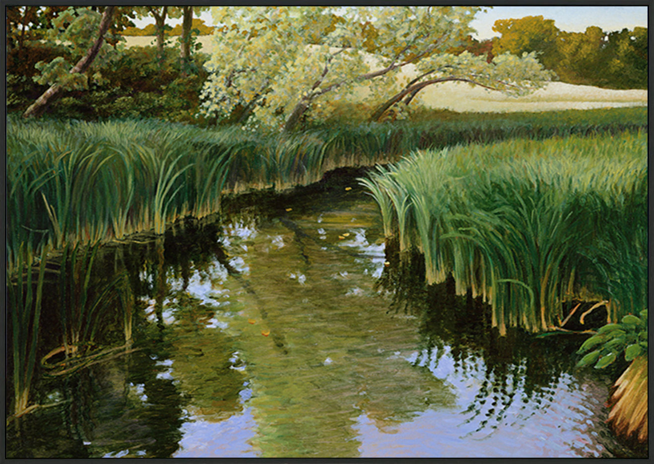 canvas_frame