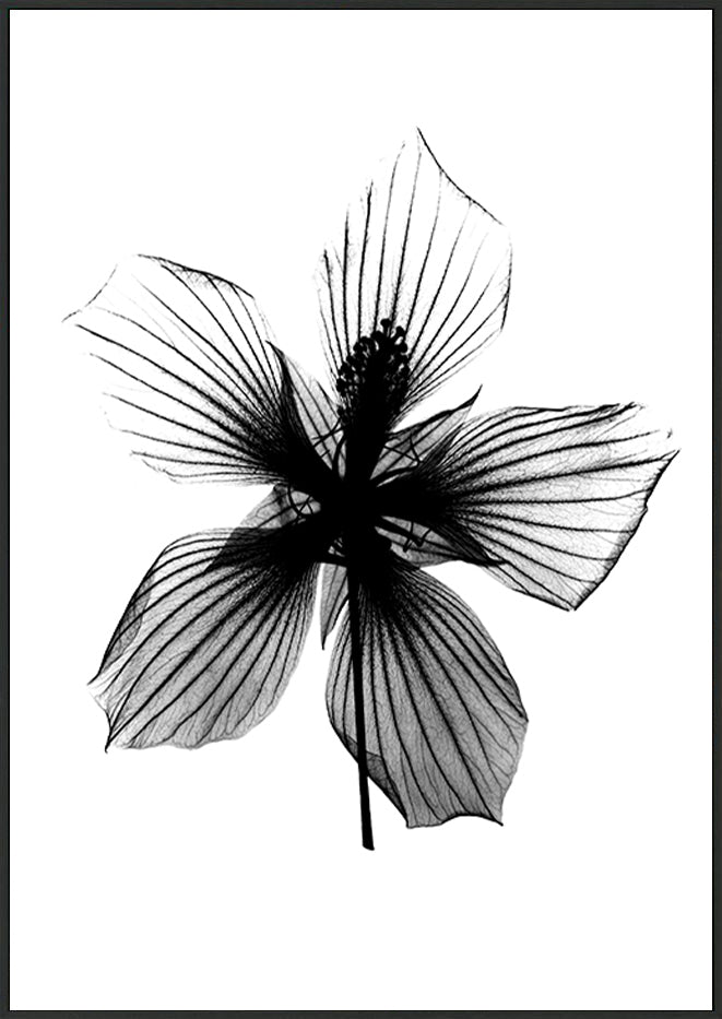 canvas_frame