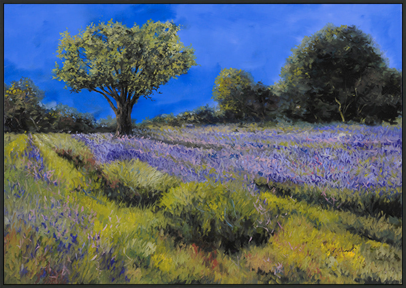 canvas_frame