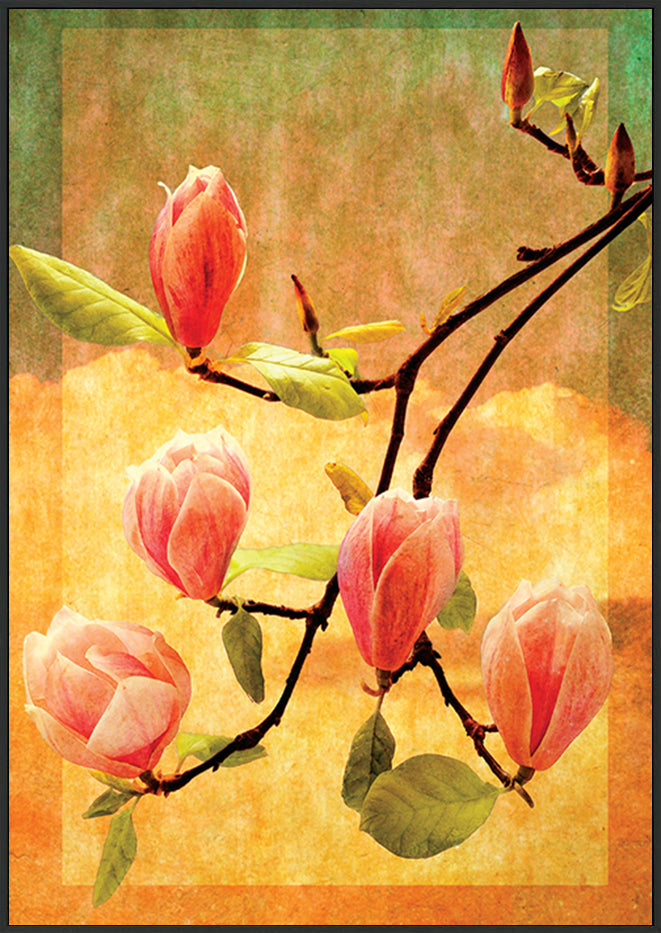 canvas_frame