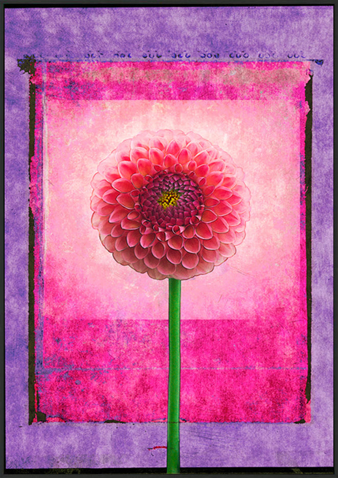 canvas_frame