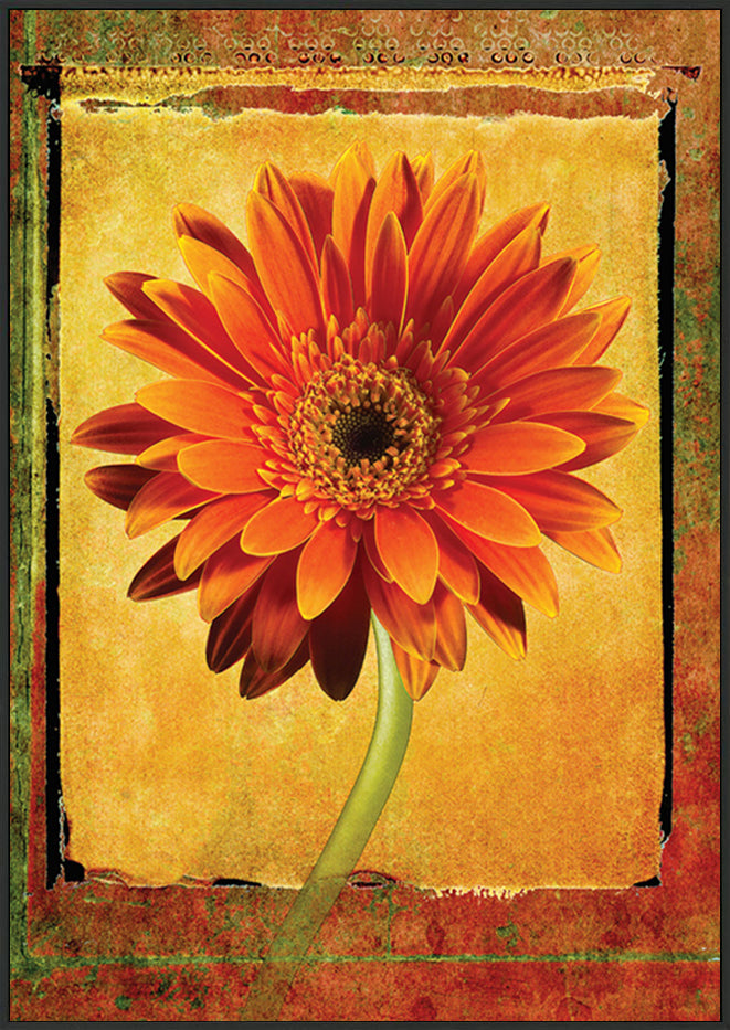 canvas_frame