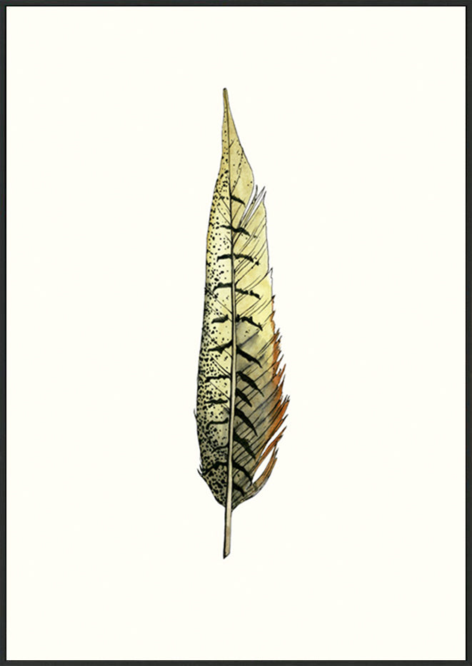 canvas_frame