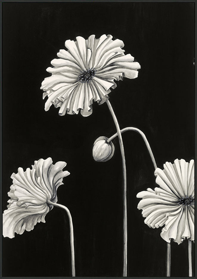 canvas_frame