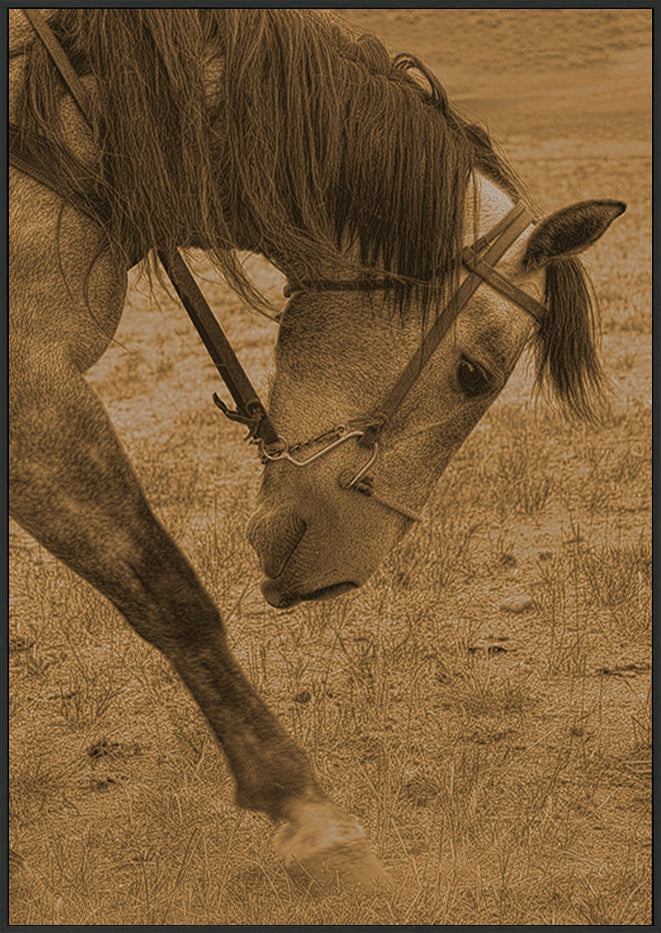 canvas_frame