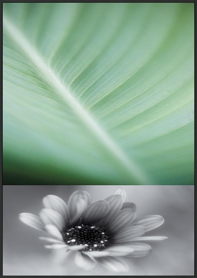 canvas_frame