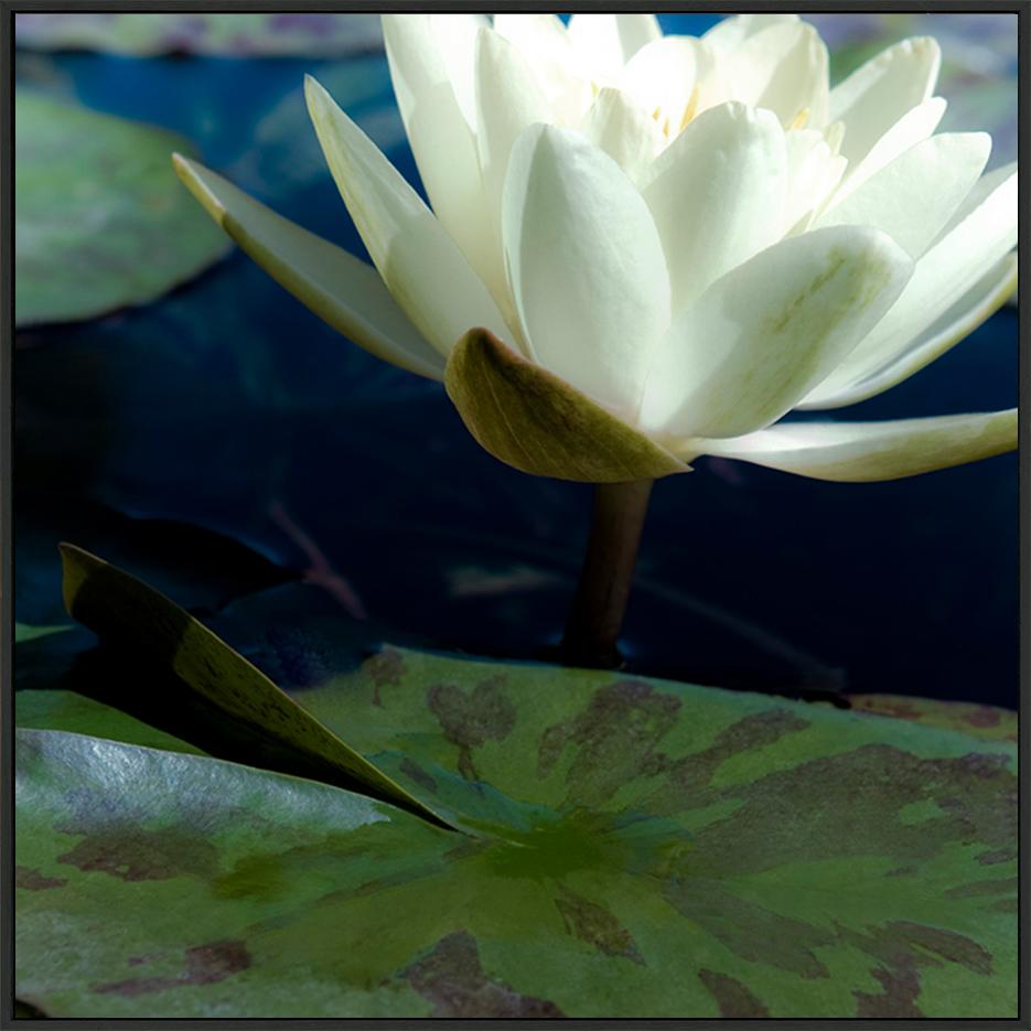 canvas_frame