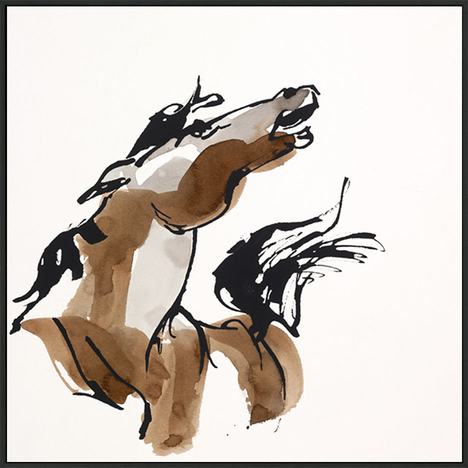 canvas_frame