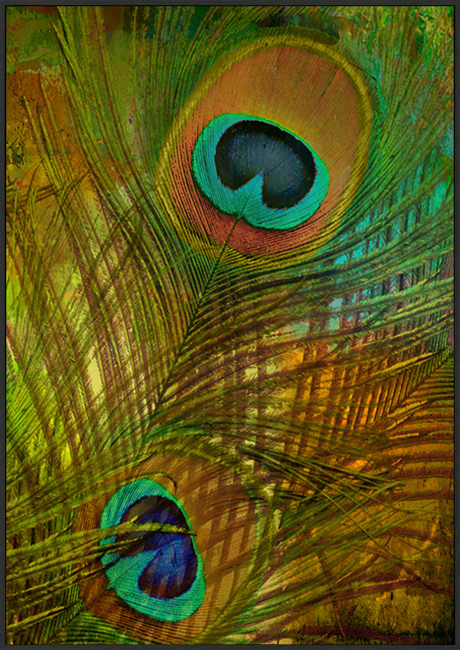canvas_frame