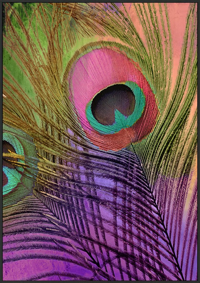 canvas_frame