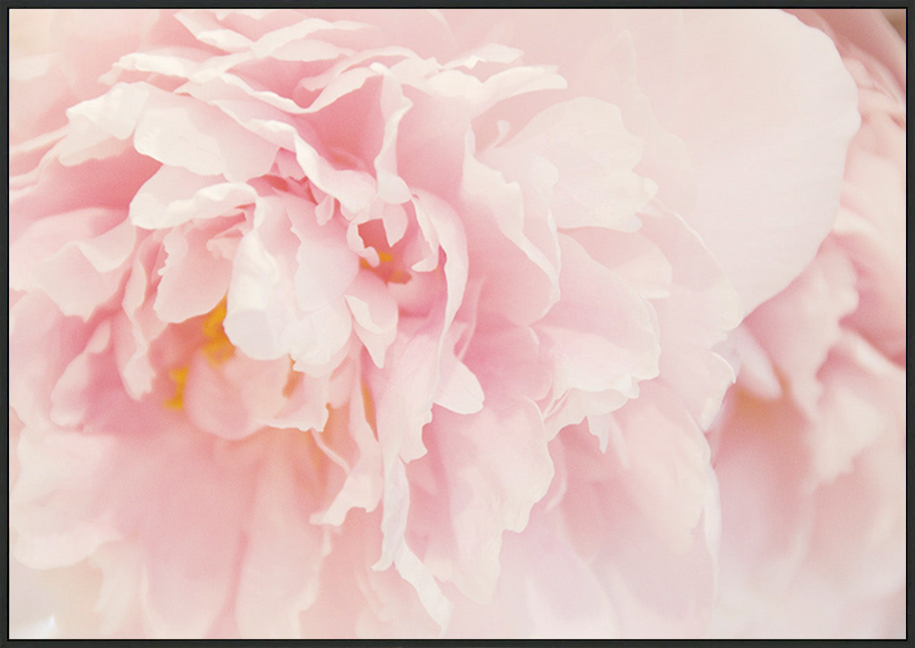 canvas_frame