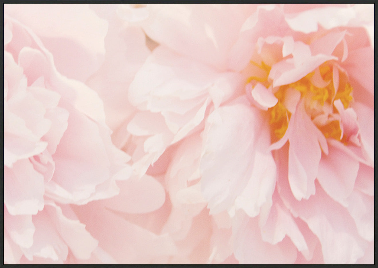 canvas_frame