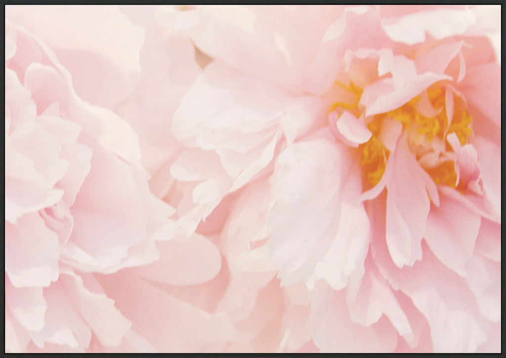 canvas_frame