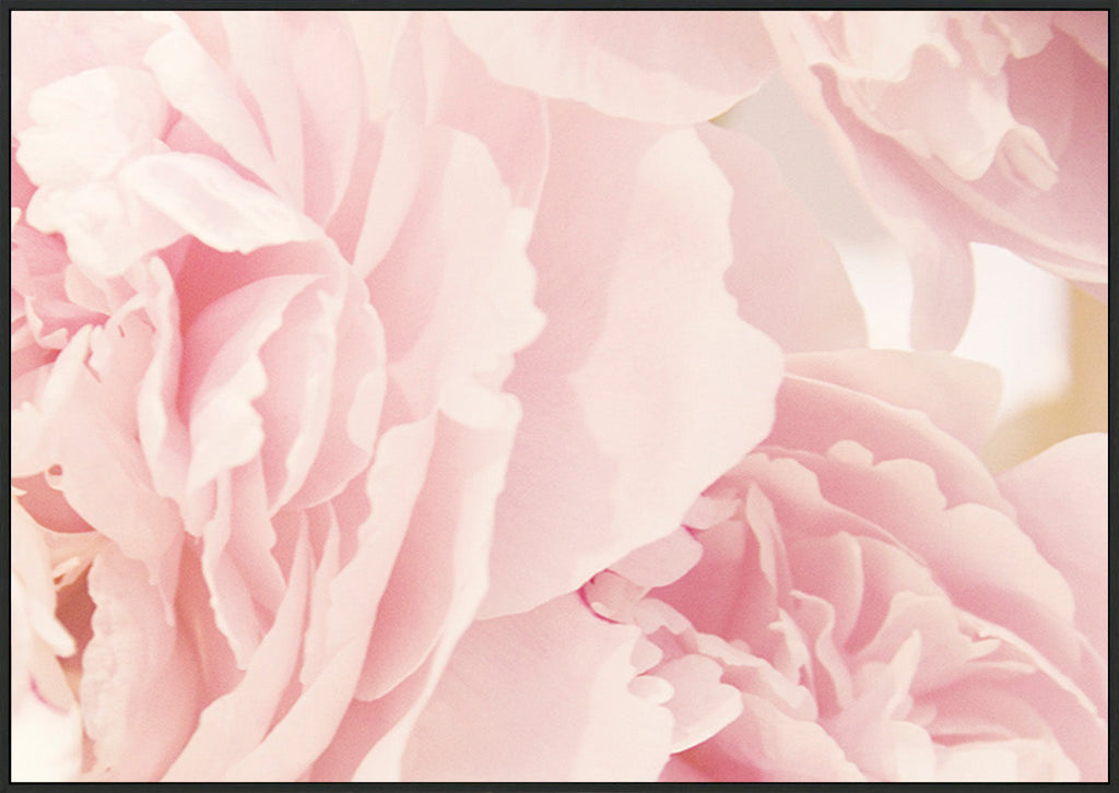 canvas_frame