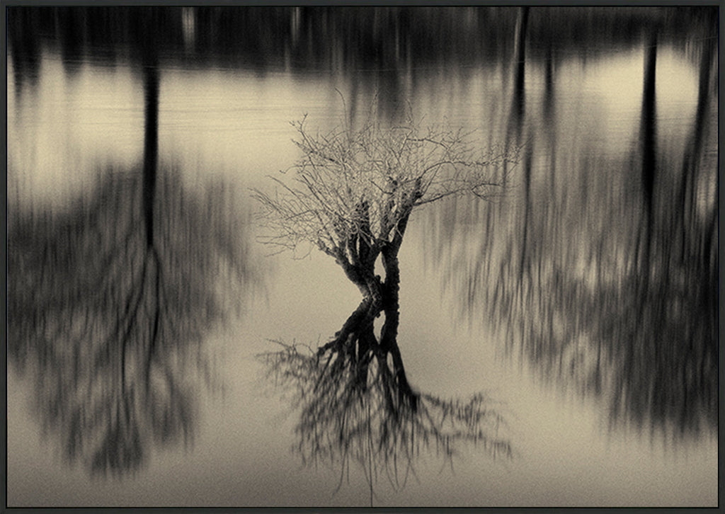 canvas_frame