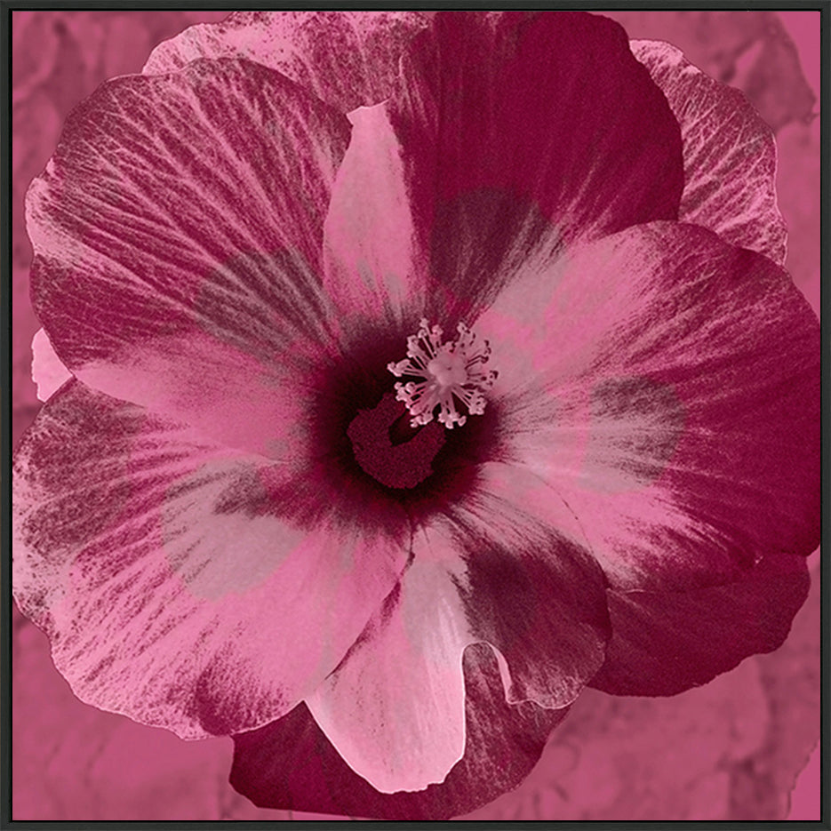 canvas_frame