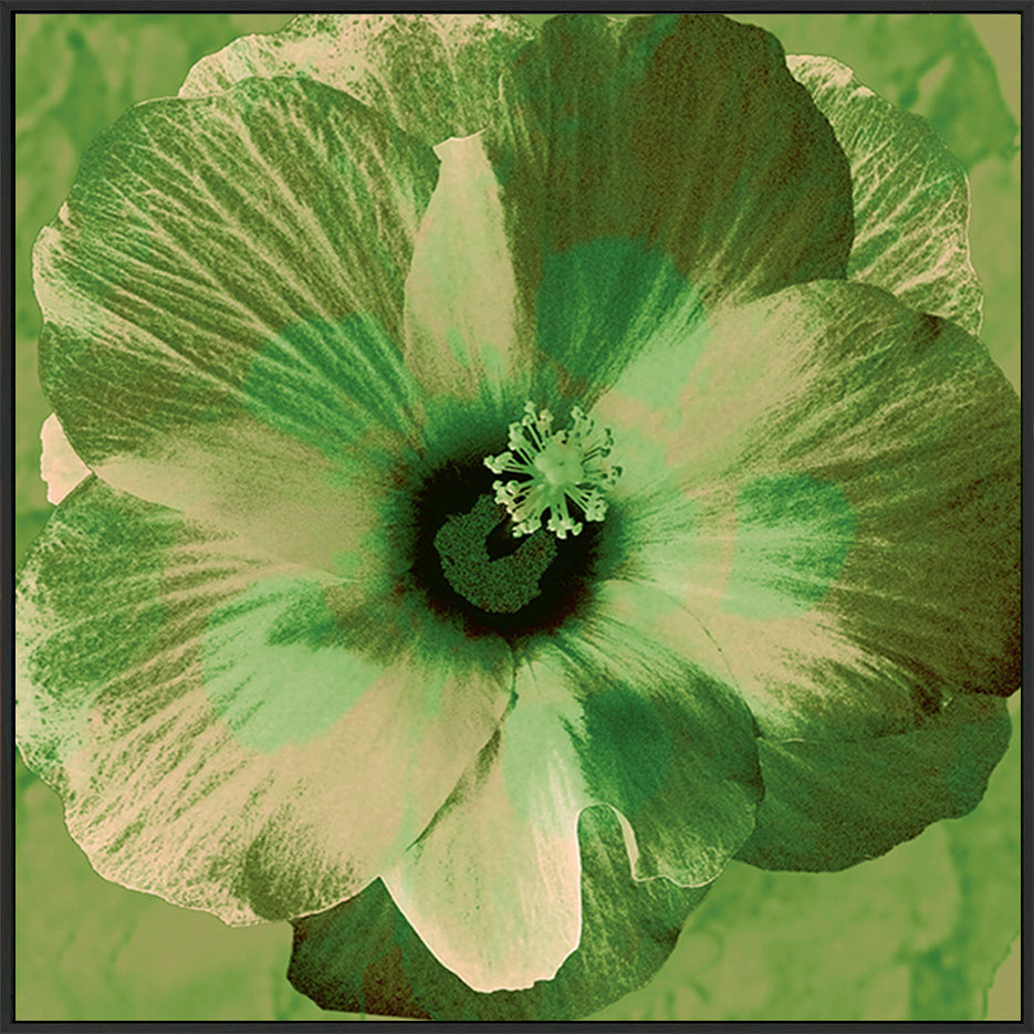 canvas_frame