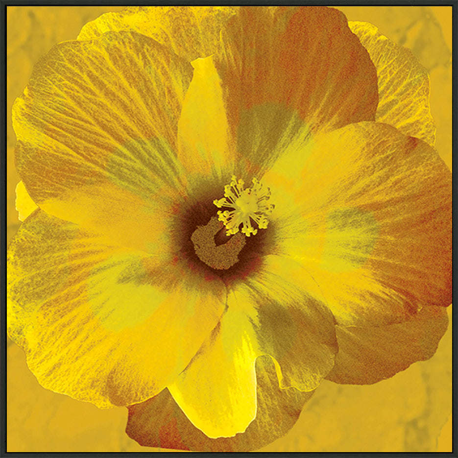 canvas_frame