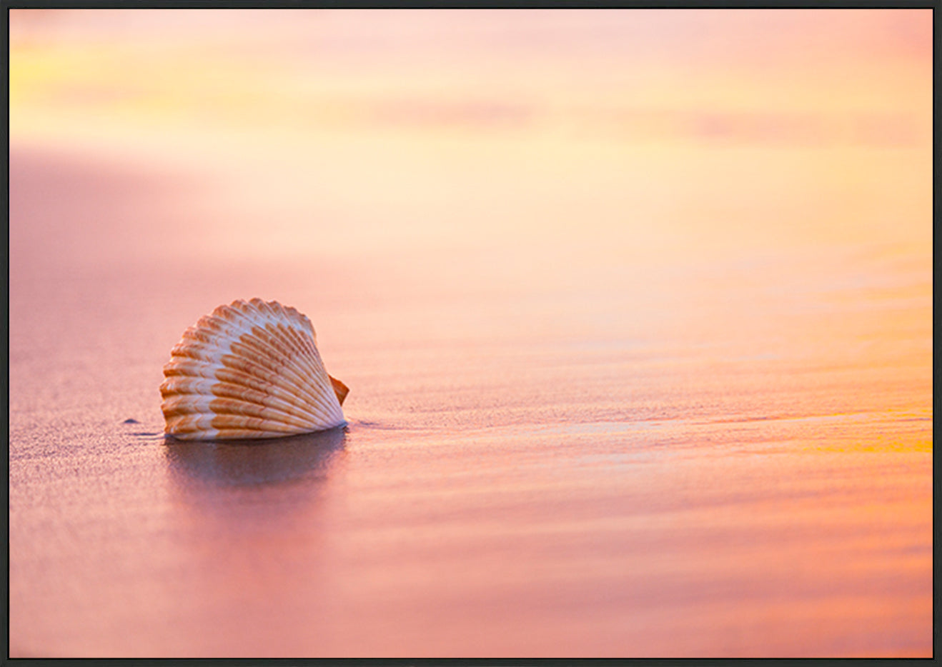canvas_frame
