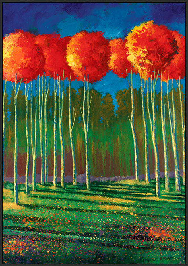 canvas_frame