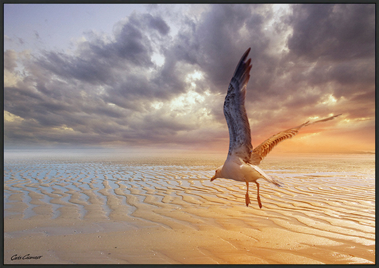 canvas_frame