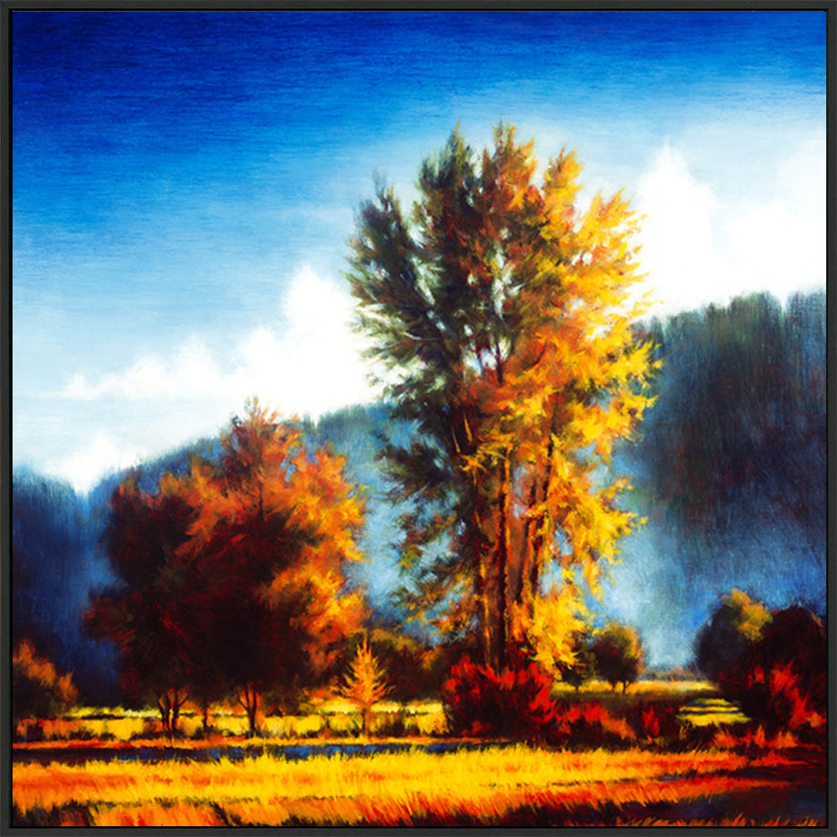 canvas_frame
