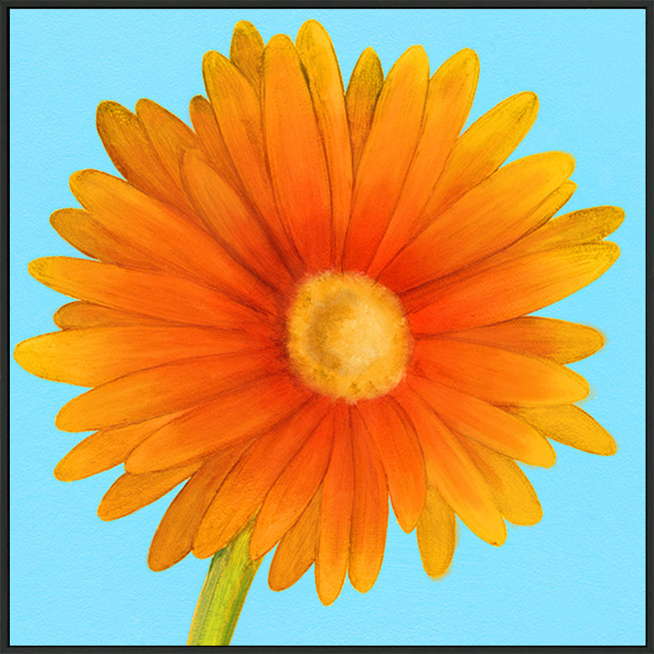 canvas_frame