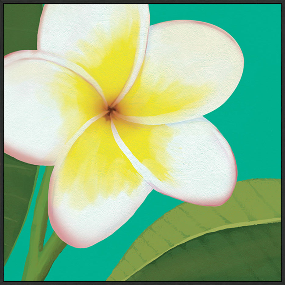 canvas_frame