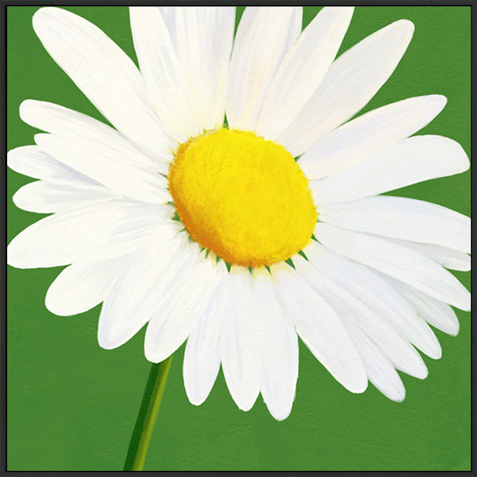 canvas_frame